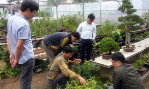산림경영 활성화를 위한 기술 지도사업 강화