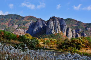 청송국가지질공원, 유네스코 세계지질공원 신청 