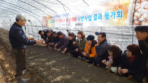 참외후작 아가리쿠스 버섯재배 성공