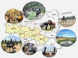 경북도 말산업 특구 조성 본격화