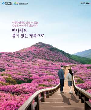 봄에는 떠나세요~ 볼거리 가득한 경북으로
