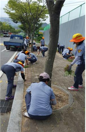 북삼읍 의용소방대, 환경정화활동 추진