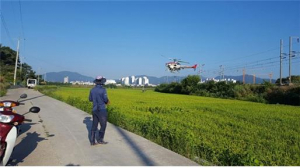 칠곡군농업기술센터, 무인헬기활용 항공방제 실시