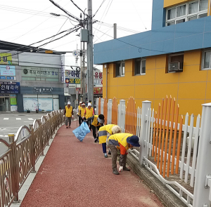 칠곡군 북삼읍 노인회, 환경정화활동 실시