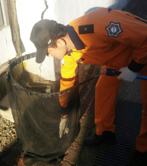 칠곡소방서, 야생 조류 구조