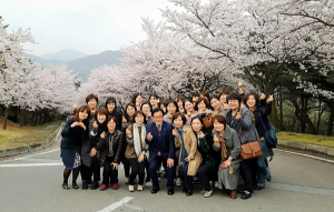 백선기 칠곡군수,  여성 공무원과 ‘벚꽃 소통’