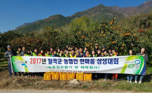 칠곡군농협, 가을 수확기 농촌일손돕기에 팔걷어 부쳐