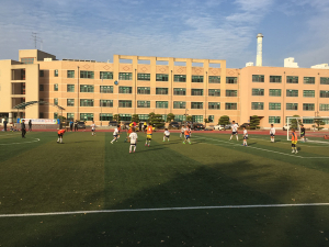 왜관초등 축구 꿈나무들, 축구 리그전 우승