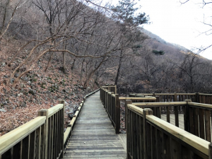 국립칠곡숲체원, 무장애 참나무 숲길 개통