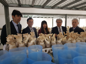 경북도 우수 농업기술, 터키 현지에서도 통했다