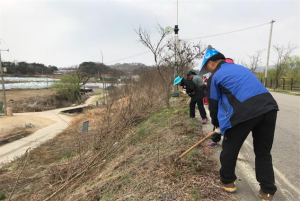 약목면, 예야제 접시꽃길 조성사업 실시
