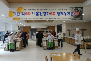 계란값 폭락, 경북도 계란 소비 촉진에 앞장서