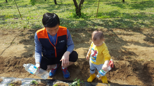 칠곡군청소년가족봉사단 고구마 심기 봉사활동 펼쳐