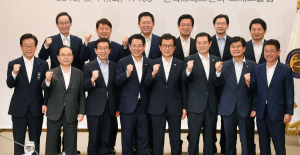 제2국무회의 신설, 헌법 공식기구로