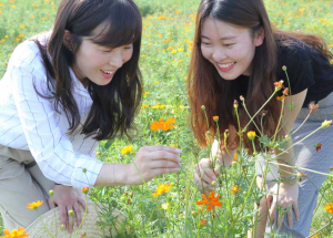 “반갑다 코스모스야, 너를 정말 보고 싶었다”
