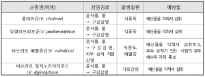 올여름 폭염으로 ‘비브리오패혈증’감시망 11월까지 지속적 운영