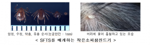 봄철, 야외활동 시 진드기 물림 주의 당부