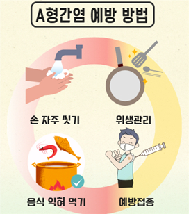 인체의 화학공장 ‘간’ 지키기ㅡA형간염, 손잡기 조심-더러운 손병 유럽 비상