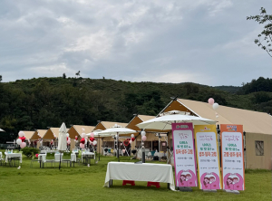 칠곡군, ‘설렘On, 칠곡–나이스투 밋 유!  칠곡·성주·고령’