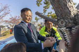석적읍 가로수 겨울옷 입히기 행사 실시