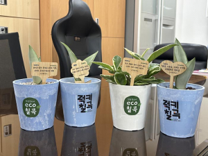 칠곡군, 일상 속 청렴문화 확산을 위한 청렴다짐 화분 팻말 제작