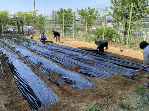 건보 칠곡성주지사! 이색소통의 장(텃밭)을 일군다!