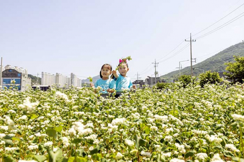 “엄마, 메밀이라네요”… 유휴지 바꾸자 아이들 웃음꽃