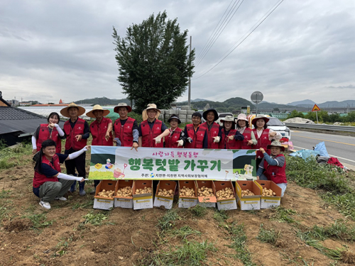 지천면 지역사회보장협의체, 사랑의 감자 수확으로 복지기금 마련